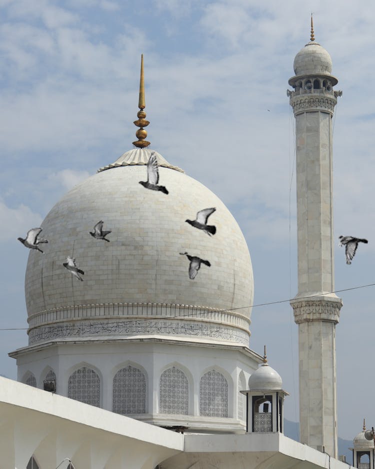 Seagulls Flying Near Mosque