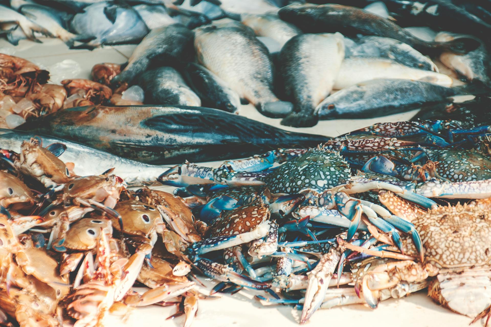 Vibrant seafood assortment featuring raw fish and crabs on display, showcasing fresh marine produce.