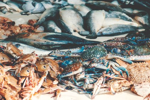 Free Vibrant seafood assortment featuring raw fish and crabs on display, showcasing fresh marine produce. Stock Photo