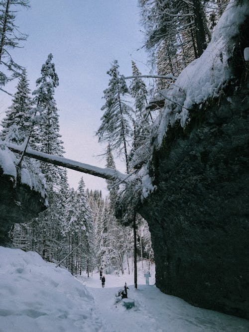 Fotobanka s bezplatnými fotkami na tému chladný, kameň, krajina