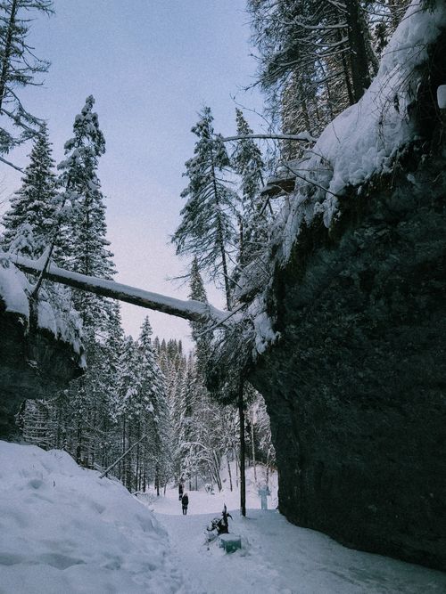 Free Tranquil winter scene of snow-laden trees and rocky formations in a serene forest. Stock Photo