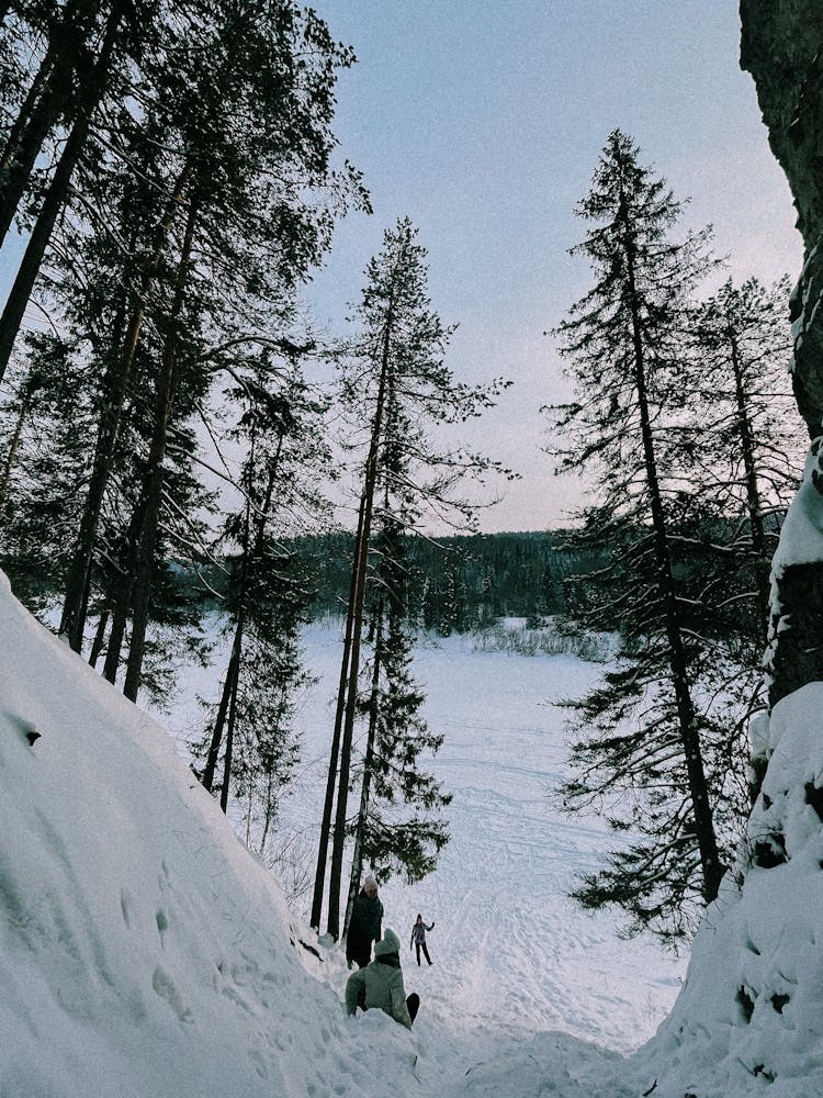 People Sliding Down The Hill In Winter 