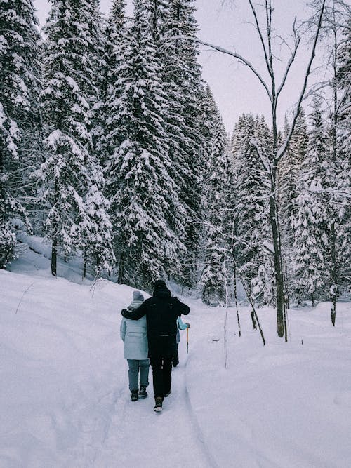 Ilmainen kuvapankkikuva tunnisteilla flunssa, jääkylmä, kävely