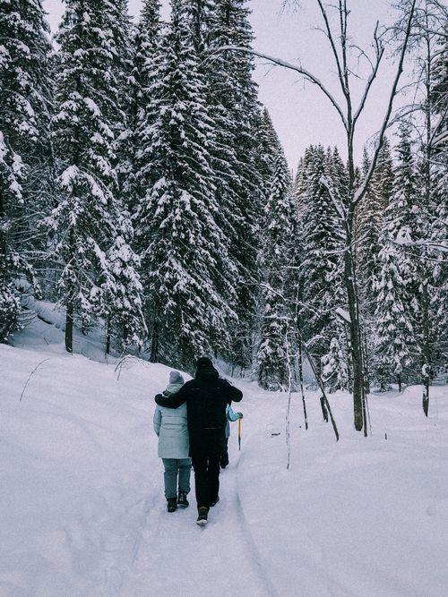 Free A couple enjoys a serene walk through a snow-covered forest in winter, capturing tranquil beauty. Stock Photo