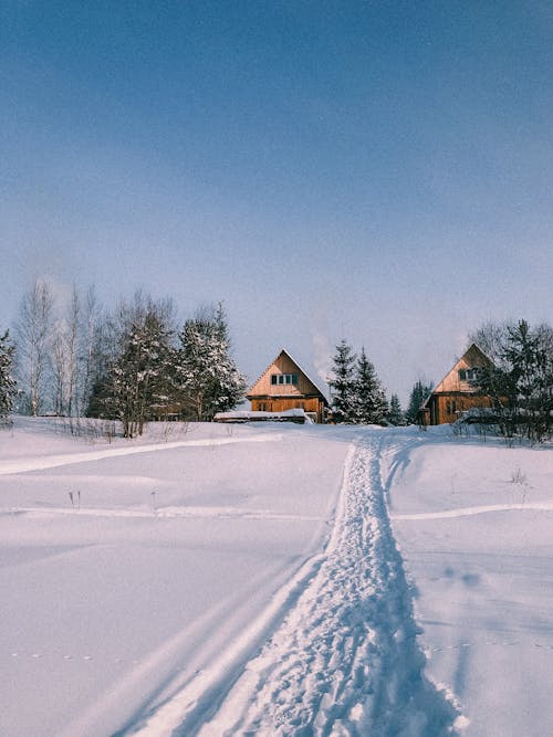 Free Cabins in Snow Covered Area Stock Photo