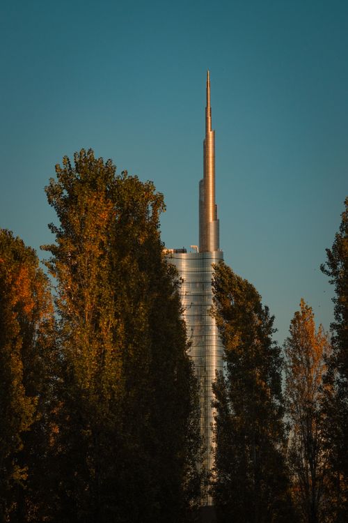 Free A striking modern skyscraper rises behind tall autumn trees capturing urban architecture and nature. Stock Photo