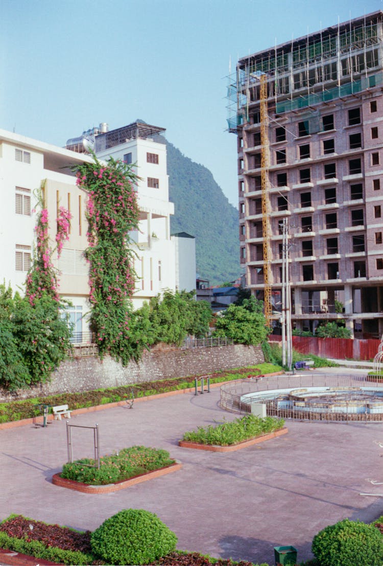 Plants On A Park Near Building Construction 