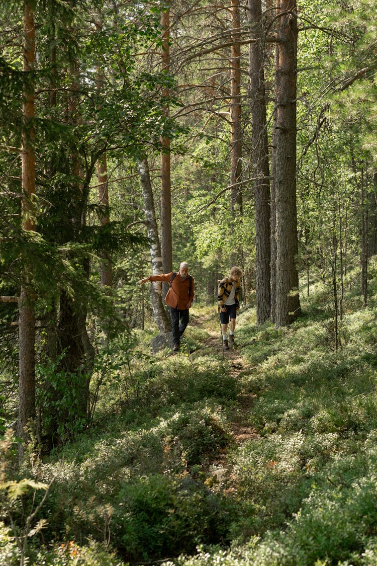 Teenager Boy And Elderly Man Walking In The Woods