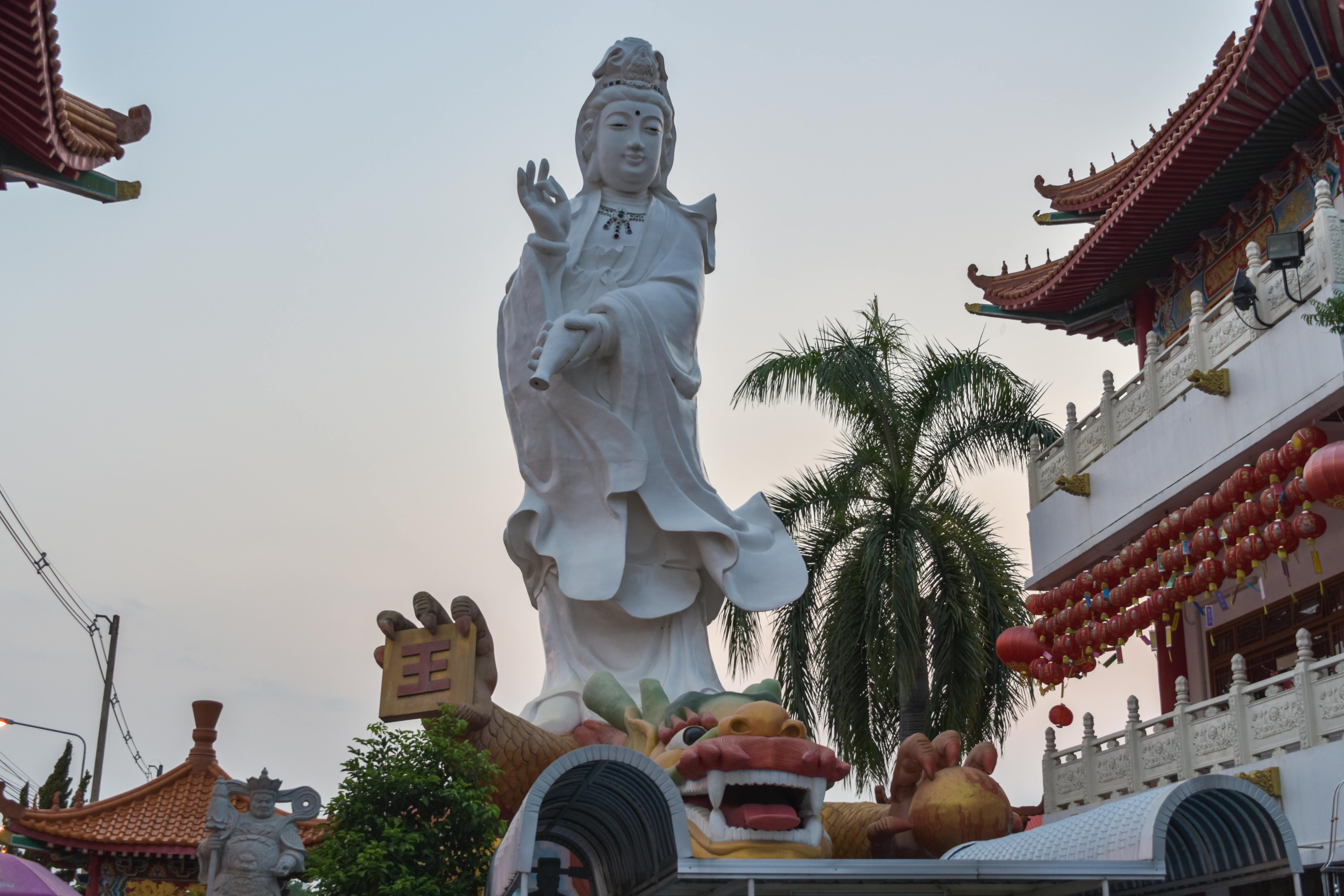 Femme choisissant des légumes frais sur un étal de marché