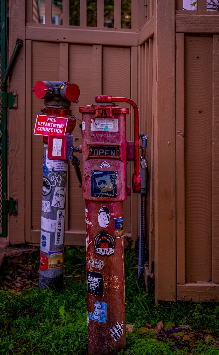 Two Fire Hydrants