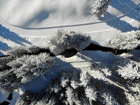 Stunning aerial shot of snow-covered trees casting shadows in Vaz/Obervaz, Switzerland.