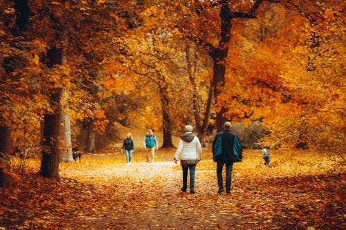 Free People Walking in the Park Stock Photo