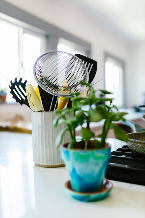 Still Life with Kitchen Utensils and Herb in Pot