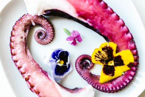 Free Artistic presentation of octopus tentacles adorned with vibrant edible flowers. Stock Photo