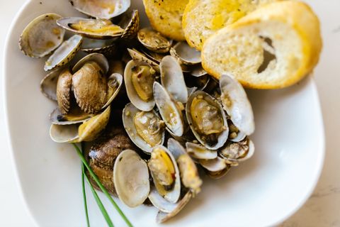 Steamed clams served with crisp toasted bread — photo by RDNE Stock project on Pexels