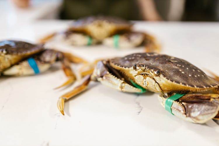 Close Up On Crabs On Table