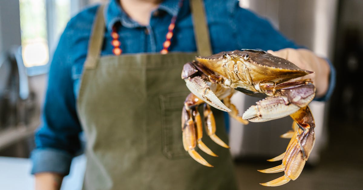 Comment éviter les erreurs lors du stockage de fruits de mer