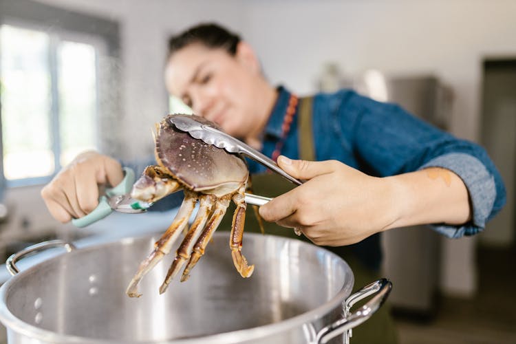 Woman Holding Cooked Crab In Kitchen Pincers And Cutting It With Scissors