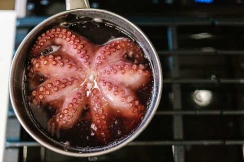 Free Close-up of octopus tentacles boiling in a pot on a stove. Stock Photo