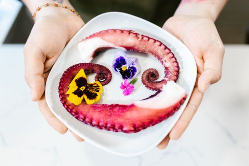 Free Close-up of octopus tentacle garnished with colorful edible flowers on a white plate, held in hands. Stock Photo