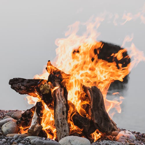 бесплатная Бесплатное стоковое фото с горение, горячий, дрова Стоковое фото