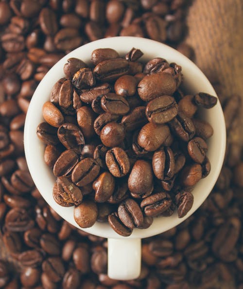 Free Coffee Beans in White Ceramic Mug Stock Photo