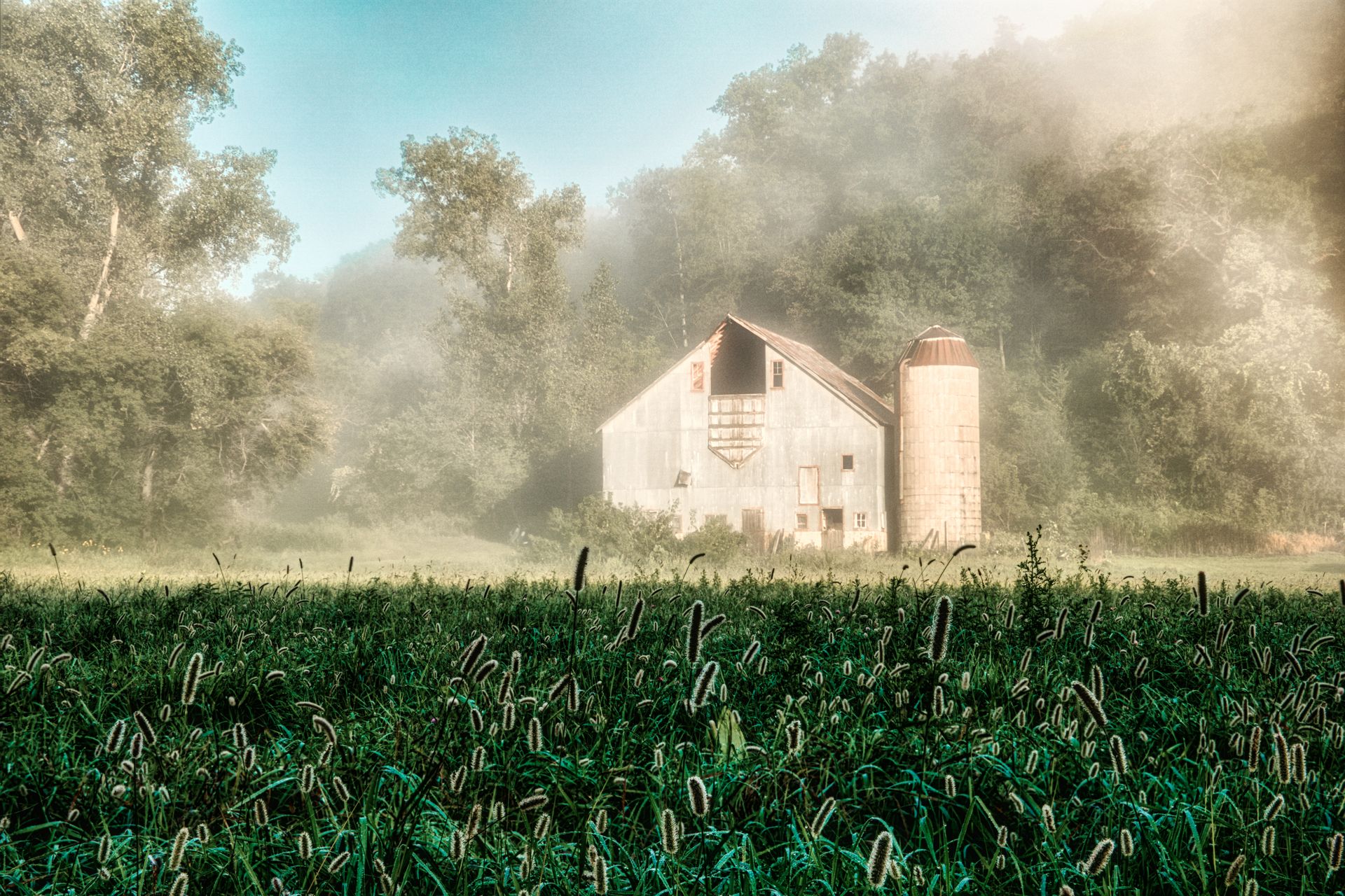 Rustic farmhouse shrouded in mist with lush greenery in rural Minnesota's countryside.