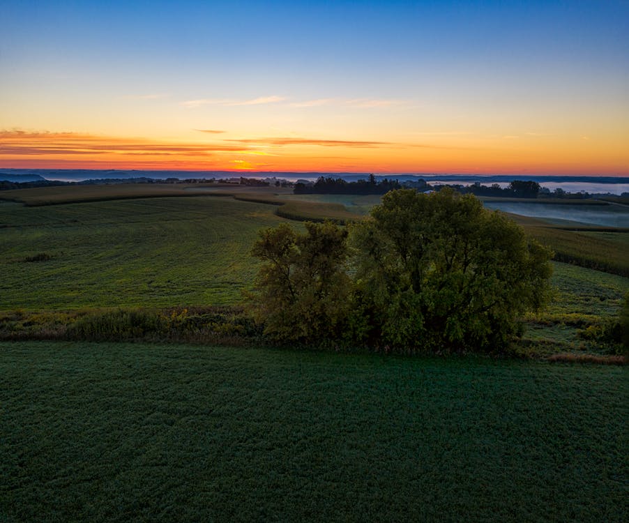 Cropland in the Lakeside