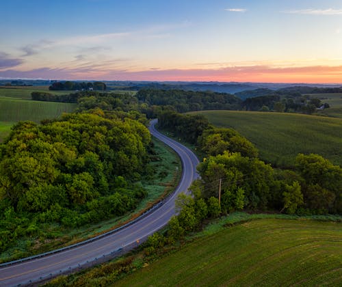 Gratis stockfoto met dageraad, dronefoto, groene bomen