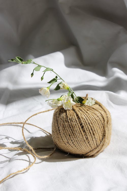 A Stem of White Flowers on a Roll of Yarn