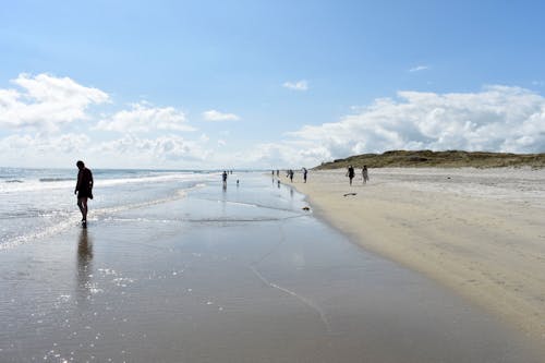 Fotobanka s bezplatnými fotkami na tému mrak, pláž