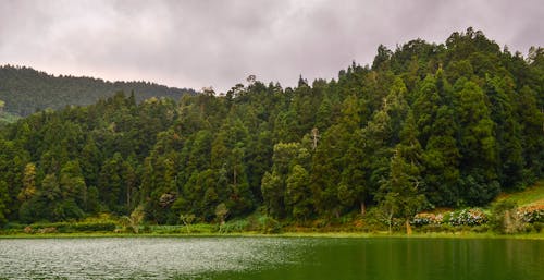Free Peaceful Scenery of a Lake Stock Photo