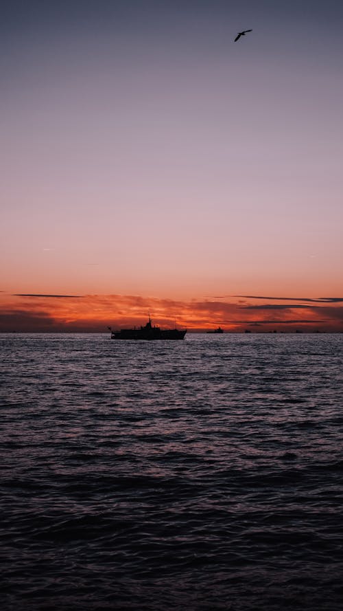Δωρεάν στοκ φωτογραφιών με αγκυροβολημένο, απόγευμα, βάρκα Φωτογραφία από στοκ φωτογραφιών