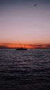 Silhouette of Boat in the Sea during Sunset