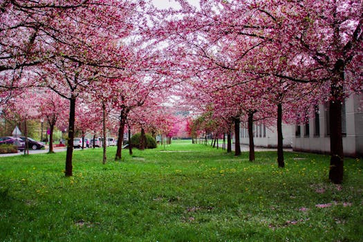 Pink Leafed Trees on Green Grass Field with the Quote "Trust is the lubrication that makes it possible for organizations to work." written on it and have average color value #544C43