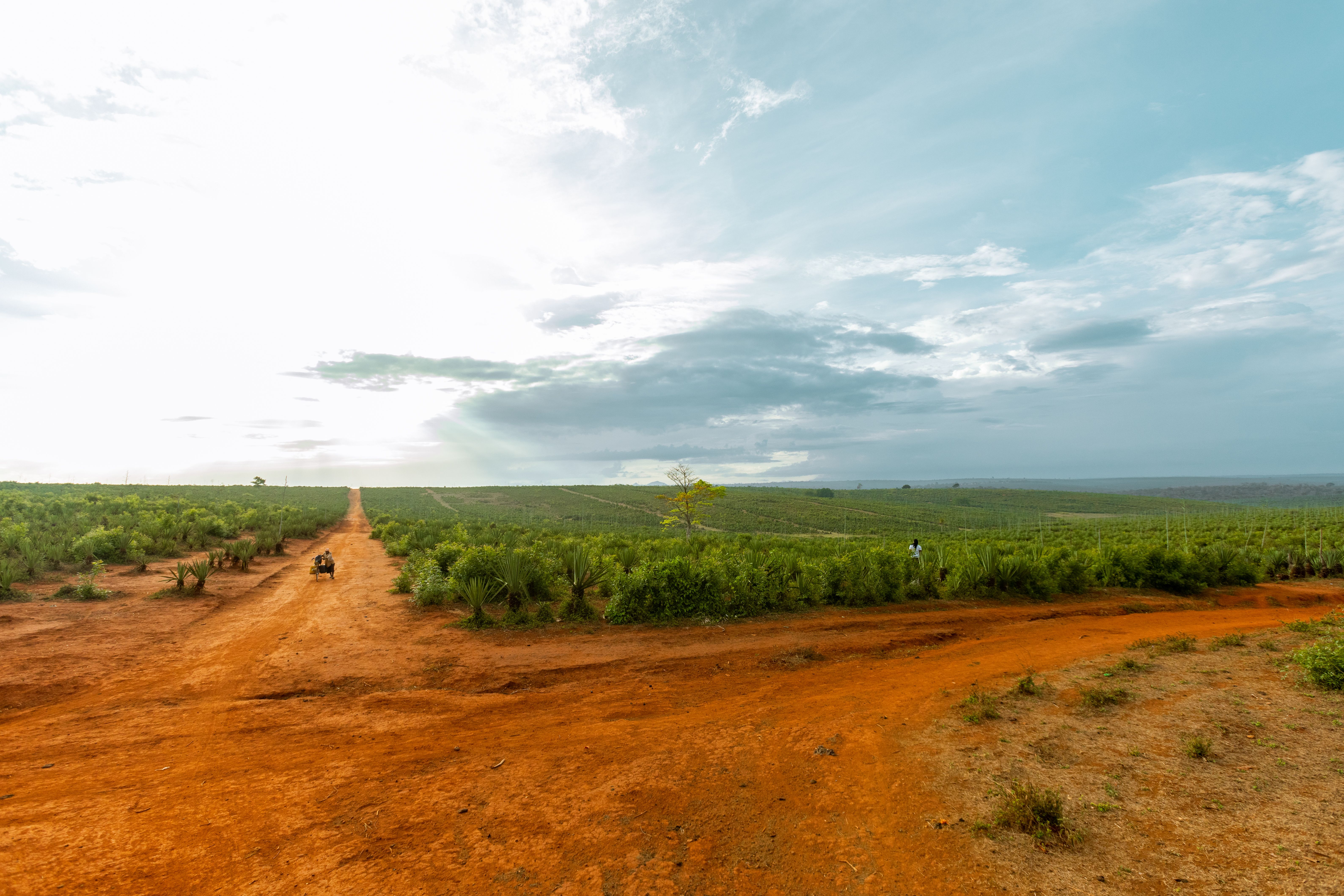 Farmland under cloudy sky, Cameroon