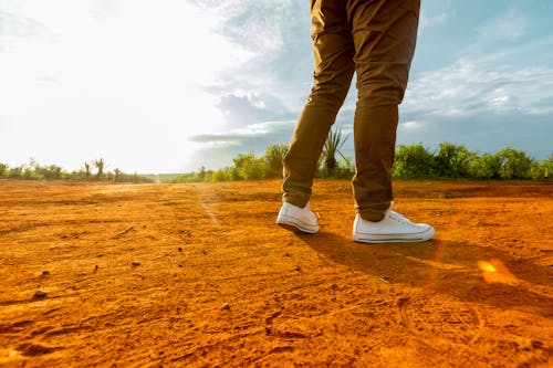 Ingyenes stockfotó barna nadrág, fehér cipők, mező témában Stockfotó