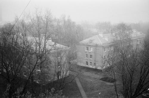 Grayscale Photo of Houses Near Trees on a Foggy Day