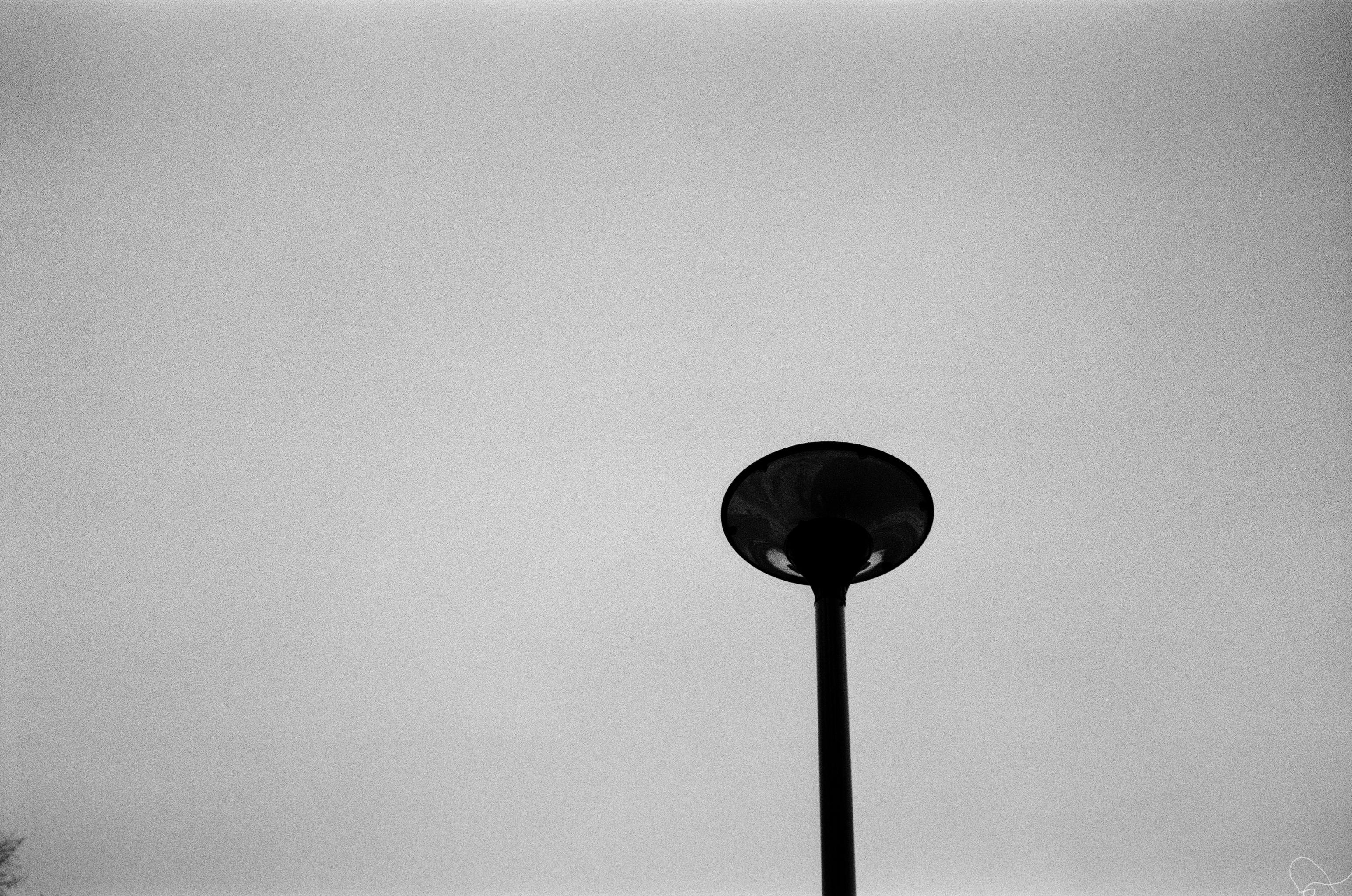 Man Walking Near Aligned Lamp Post · Free Stock Photo