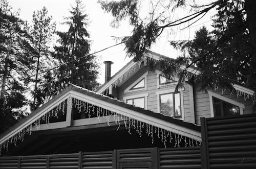 Grayscale Photo of a House