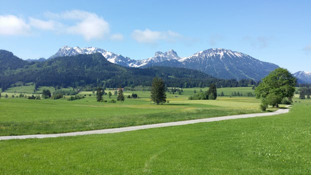 湛蓝的天空下，美丽的山区景观中，郁郁葱葱的绿色草地、森林覆盖的山丘和白雪皑皑的山峰尽收眼底