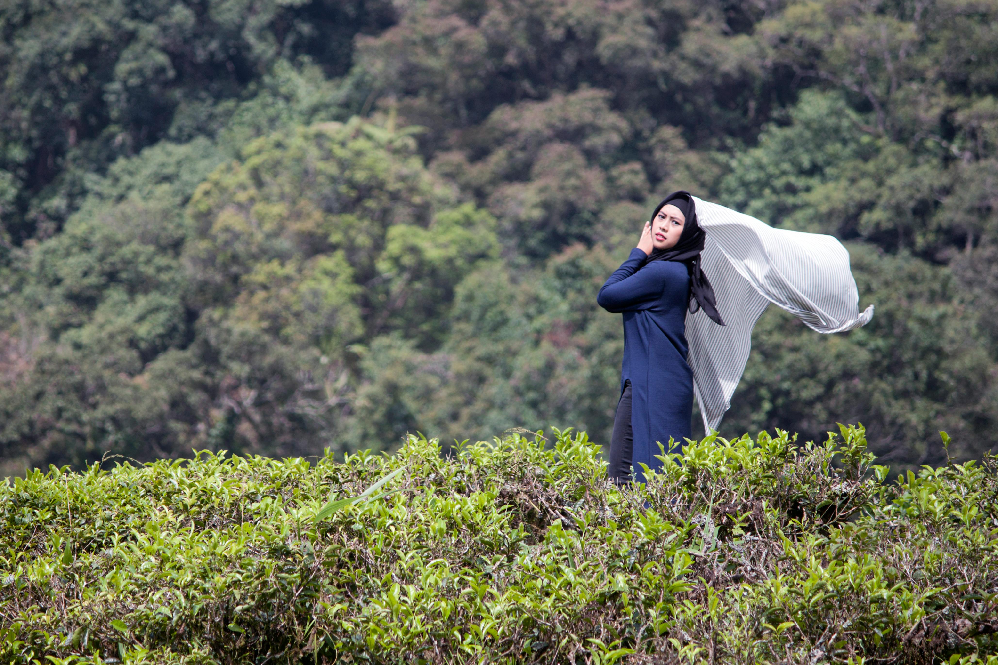 bezplatná Základová fotografie zdarma na téma asiatka, Asie, čajové plantáže Základová fotografie