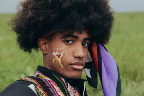 Kostenloses Stock Foto zu afro-haar, afroamerikanischer mann, ernstes gesicht