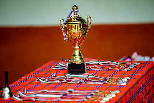A Gold Trophy and Medals on a Table With a Checkered Cloth