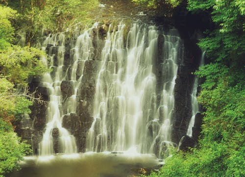 Free stock photo of dream waterfalls, elephant falls, waterfall in forest Stock Photo