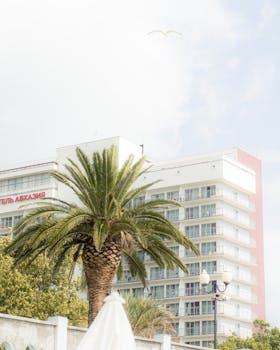 Image by Andrey Kwin