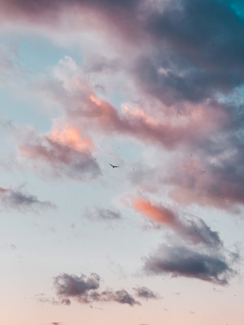 Fotobanka s bezplatnými fotkami na tému lietanie, počasie, šero