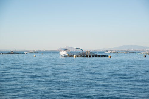 Kostenloses Stock Foto zu blauer himmel, boote, hafen