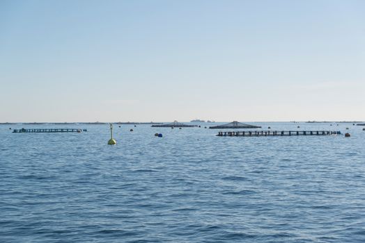 Buoys o the Sea Bay