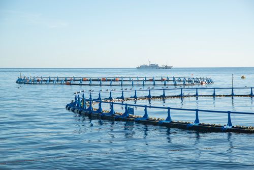 Free Aerial view of fish pens in a tranquil ocean setting with a distant ship. Stock Photo